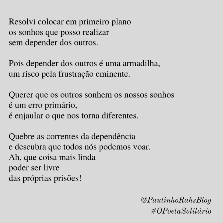 Paulinho Rahs Cinza (6)